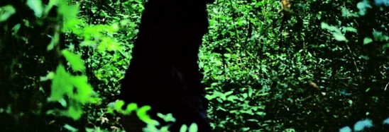نگاهی به فیلم عمو بونمی که می تواند زندگی های گذشته اش را به یاد بیاورد Uncle Boonmee Who Can Recall His Past Lives