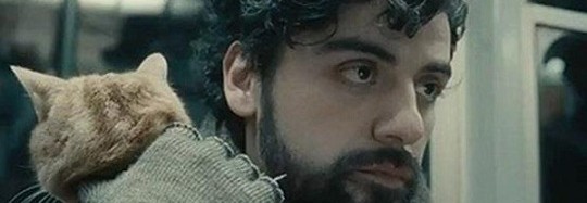 نگاهی به فیلم درونِ لوین دیویس Inside Llewyn Davis
