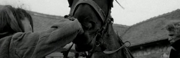 نگاهی به فیلم اسب تورین The Turin Horse