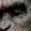 نگاهی به فیلم طلوع سیاره ی میمون ها Dawn of the Planet of the Apes